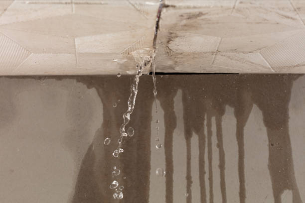 Professional Water Extraction technician working in Kinde, MI